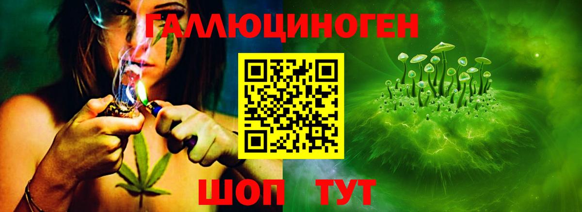 Псилоцибиновые грибы Psilocybine cubensis Тулун